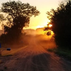 Meet your Posher, Connie